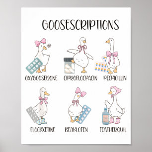 Póster Farmacia Ganso Divertido Recetas Tontas Puns Medi