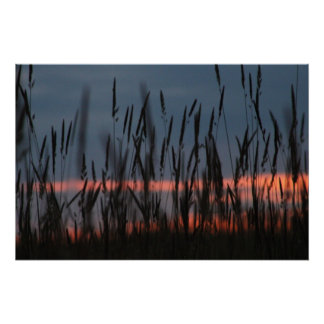 Póster Farming Sunset