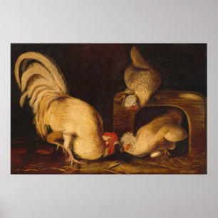 Póster Farmyard Fowls, Poster Bella Artes John James Audu