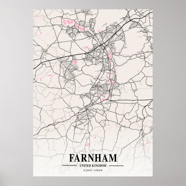 Póster Farnham - Mapa de la ciudad de napolitano del Rein (Frente)