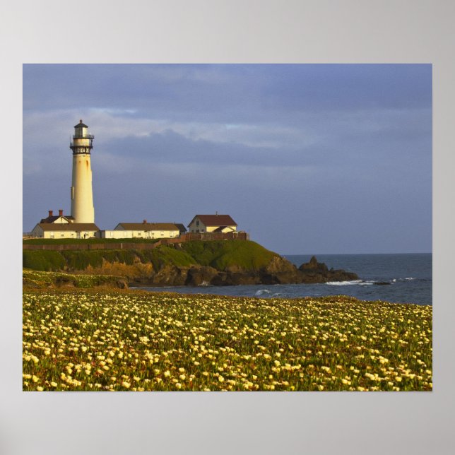 Póster Faro en Pigeon Point State Beach en San (Frente)