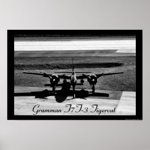 Póster Faro tigercat F7F-3