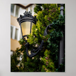 Póster Farola de hierro fundido negro ornamentado