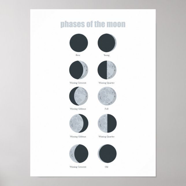 Póster Fases De La Luna (Frente)