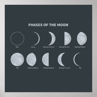 Póster Fases de la Luna