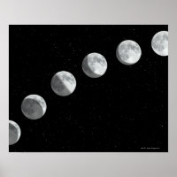 Fases de la luna