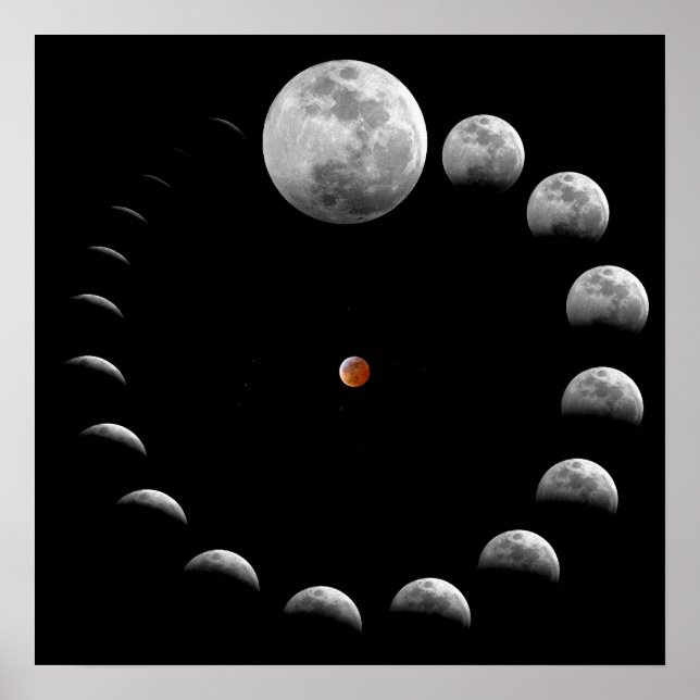 Póster Fases lunares de la luna (Frente)