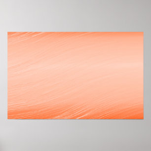 Póster FASHION STYLE fondo el escritorio de fondo con