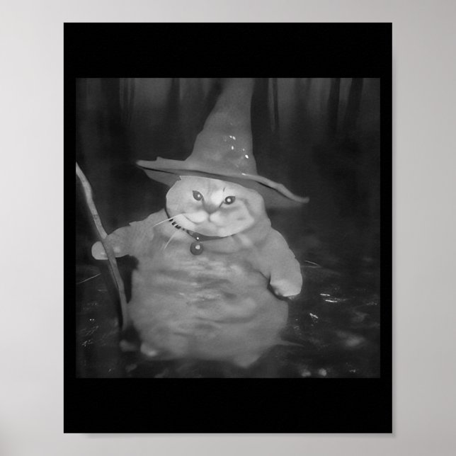 Póster Fat Wizard Cat Fat Kitten Wizard Funny Cat Meme Br (Frente)