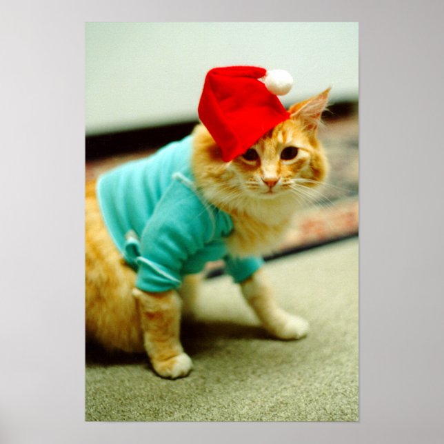 Póster Fatso, Gato original del teclado 1984 (Frente)