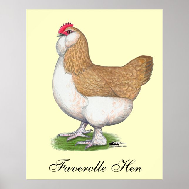 Póster Faverolle Hen (Frente)