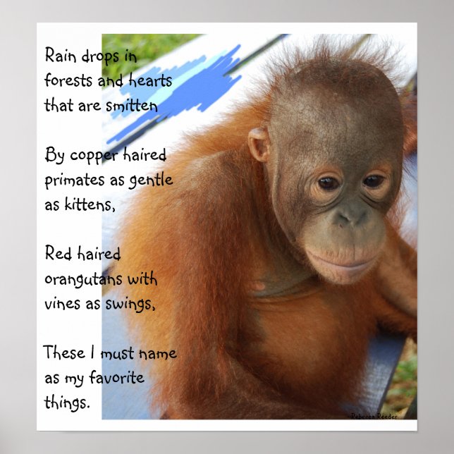 Póster Favorito de los animales dulces (Frente)