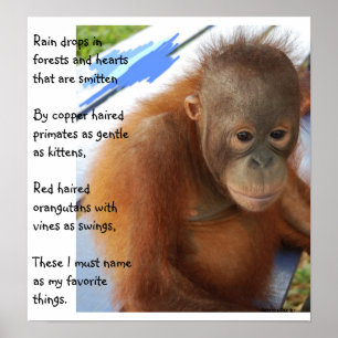 Póster Favoritos animales dulces