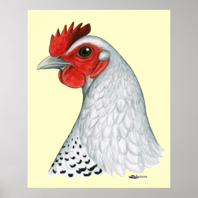 Póster Fayoumi egipcio: Hen plateado (Frente)