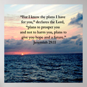 PÓSTER FE EN JEREMIAH 29:11 SUNRISE VERSE