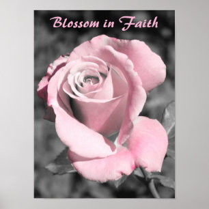 Póster Fe Rosa Rosa Rosa