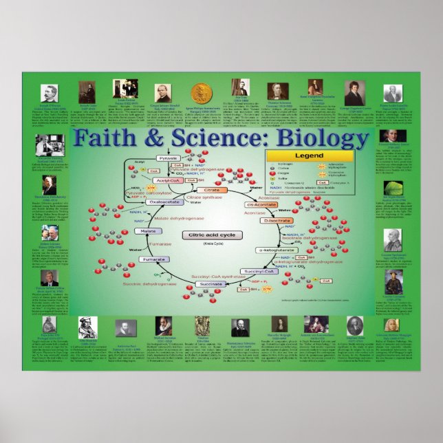 Póster Fe y ciencia: Biología (ciclo Krebs) (Frente)