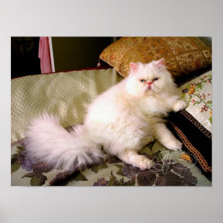 Póster ¡¡¡¡¡¡¡feaabulousse!!!!!