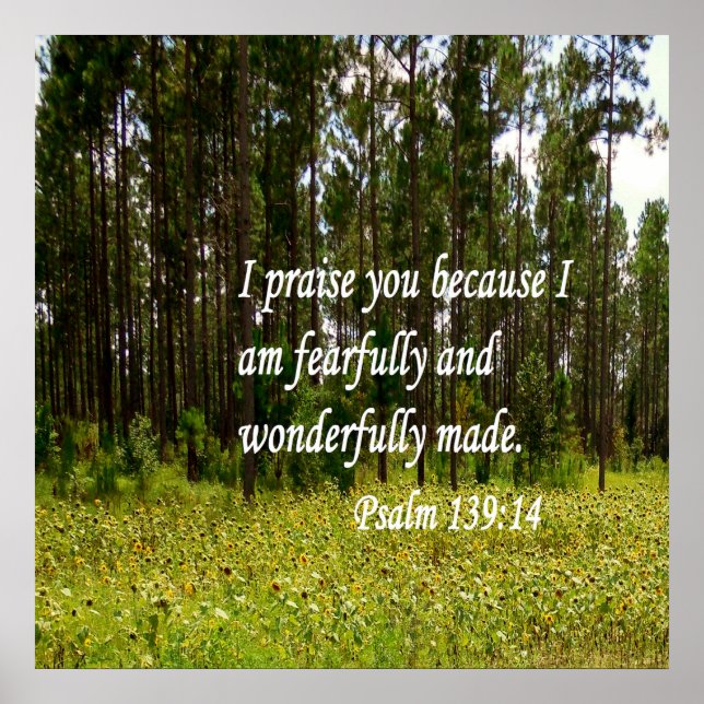 Póster Fearente y maravillosamente hecho (Frente)