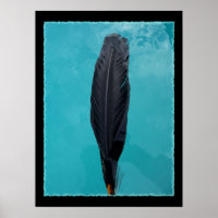 Feather de Raven