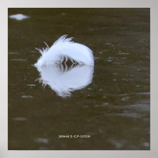 Póster Feather on the water