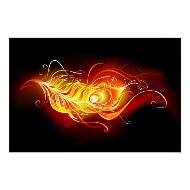 Póster Feather Peacock (Anverso)