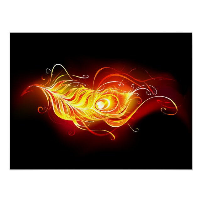 Póster Feather Peacock (Anverso)