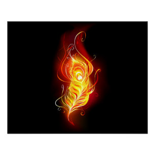 Póster Feather Peacock