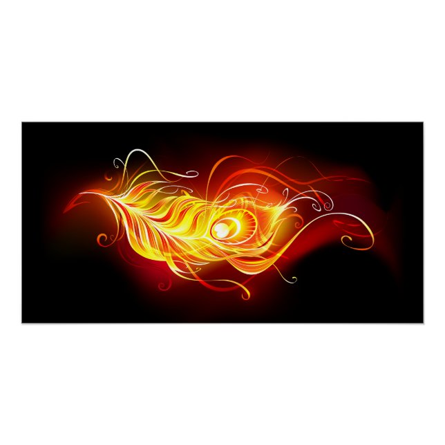 Póster Feather Peacock (Anverso)