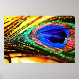 Póster Feather por Shirley Taylor