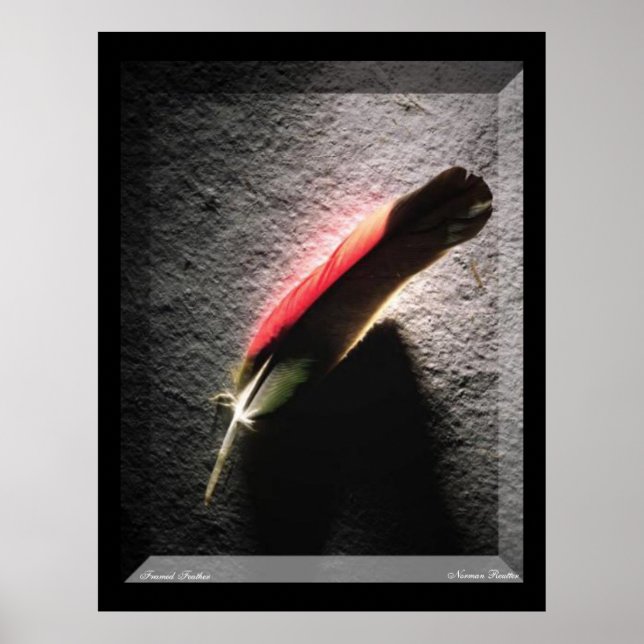 Póster Feather Poster (Frente)