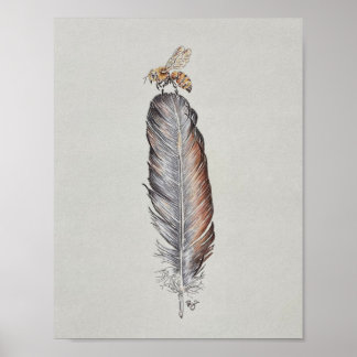 Póster FeatherBee