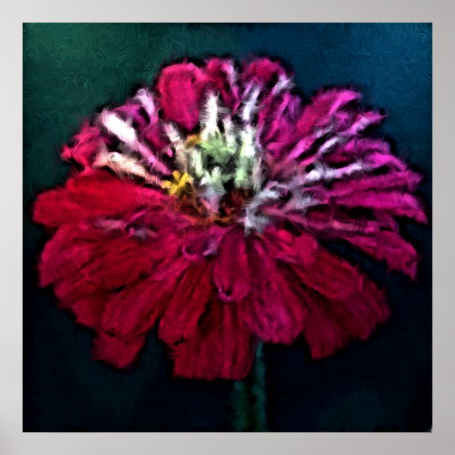 Póster Feathered Zinnia (Frente)