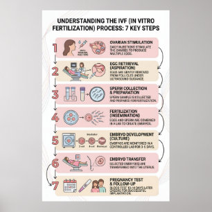 Póster Fecundación In Vitro (FIV) Proceso Explicado: 7