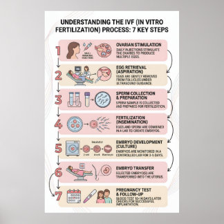 Póster Fecundación In Vitro (FIV) Proceso Explicado: 7