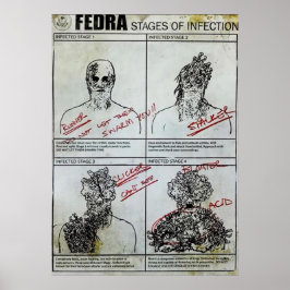 Póster Fedra Etapas de la infección