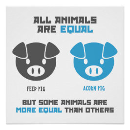 Póster Feed Pig, Acorn