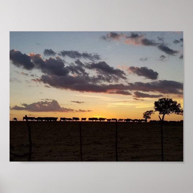 Póster Feed Time (Frente)