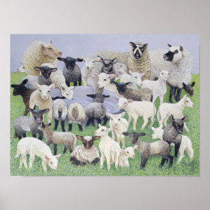 Póster Feeling Sheepish