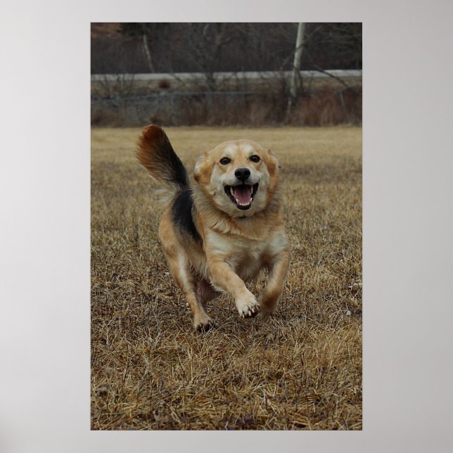 Póster Felicidad (Frente)