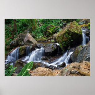 Póster Felicidad de la Naturaleza