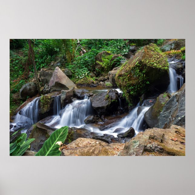 Póster Felicidad de la Naturaleza (Frente)
