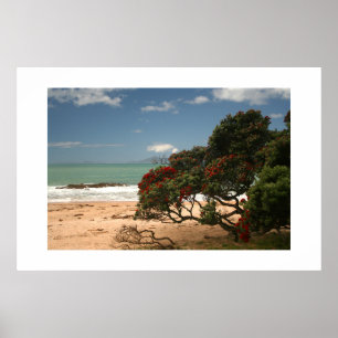 Póster Felicidad en la Playa - Árbol Pohutukawa