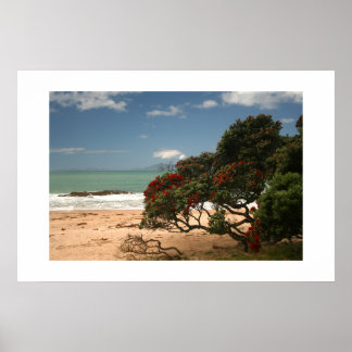 Póster Felicidad en la Playa - Árbol Pohutukawa