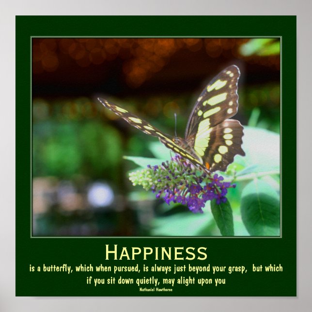 Póster Felicidad Mariposa Cita Motivadora (Frente)