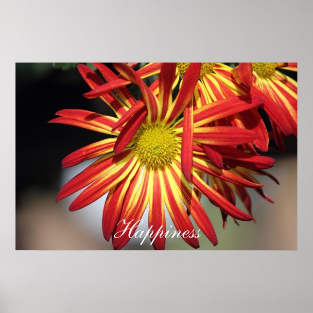 Póster Felicidad Motivadora (Frente)