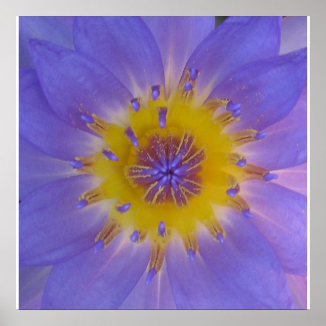 Póster Felicidad por el agua (Frente)