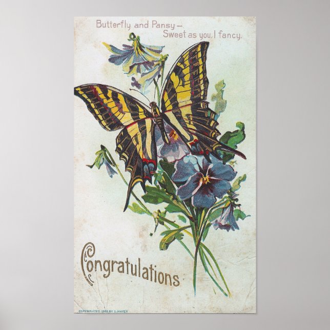 Póster Felicitaciones (Frente)