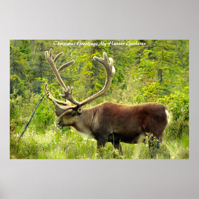 Póster Felicitaciones de Navidad a mi encuentro de cazado (Frente)
