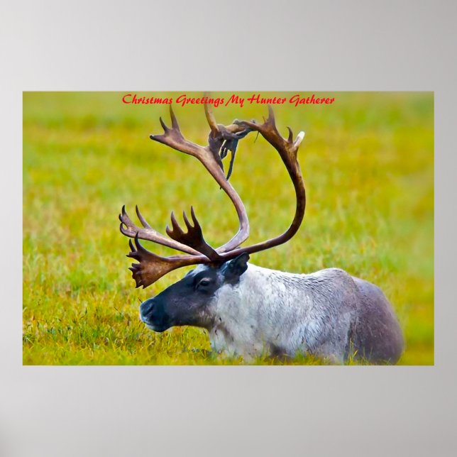 Póster Felicitaciones de Navidad a mi encuentro de cazado (Frente)